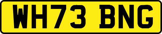 WH73BNG