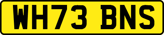 WH73BNS