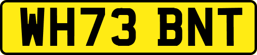 WH73BNT