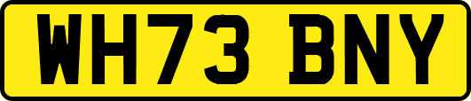 WH73BNY