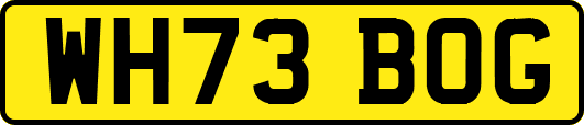 WH73BOG