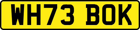 WH73BOK