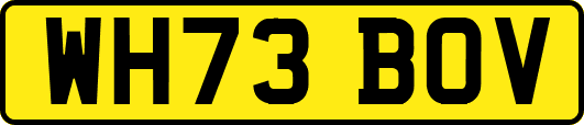 WH73BOV
