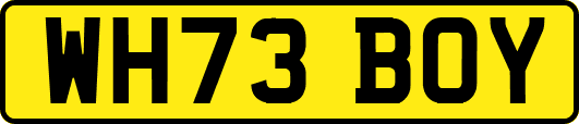 WH73BOY