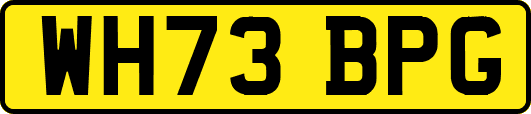 WH73BPG