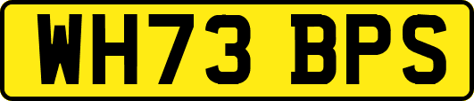 WH73BPS