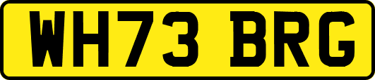 WH73BRG
