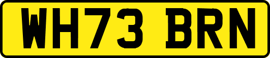 WH73BRN