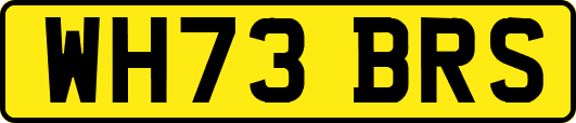 WH73BRS