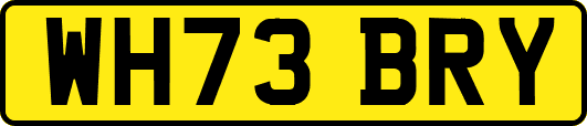 WH73BRY