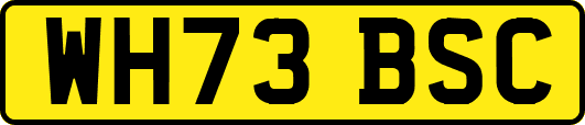 WH73BSC
