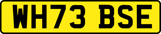 WH73BSE