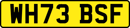 WH73BSF