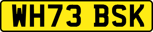 WH73BSK