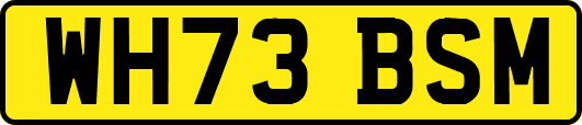 WH73BSM