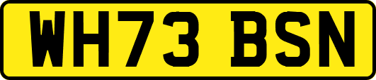 WH73BSN
