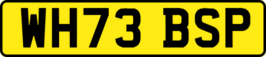 WH73BSP