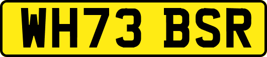 WH73BSR