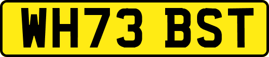 WH73BST