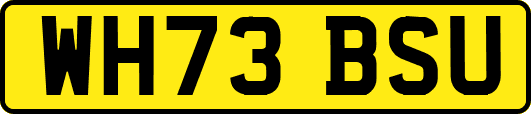 WH73BSU