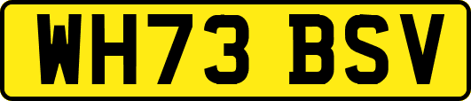 WH73BSV
