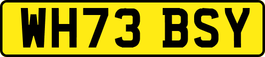 WH73BSY