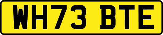 WH73BTE
