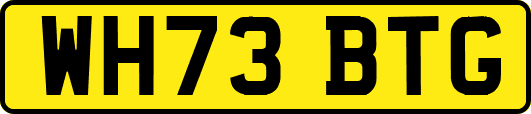 WH73BTG