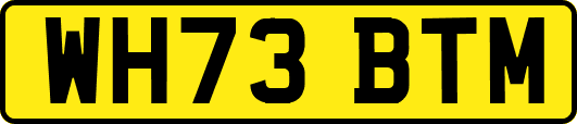 WH73BTM