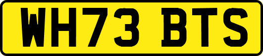 WH73BTS