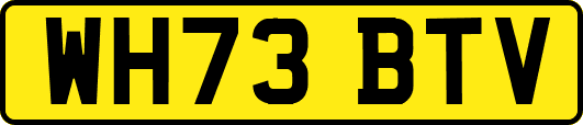 WH73BTV