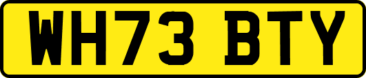 WH73BTY