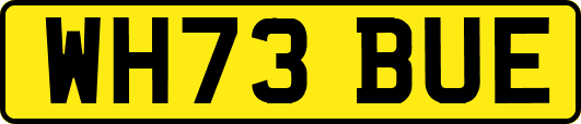 WH73BUE