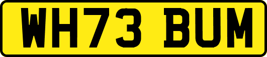 WH73BUM