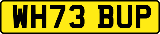 WH73BUP