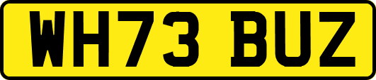 WH73BUZ