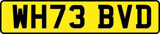 WH73BVD