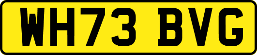 WH73BVG