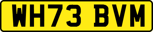 WH73BVM