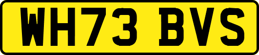 WH73BVS