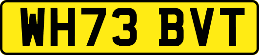 WH73BVT