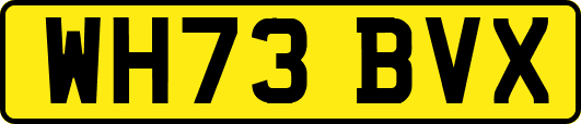 WH73BVX