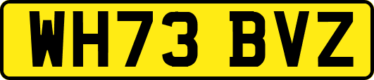 WH73BVZ