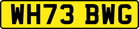 WH73BWG