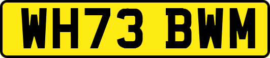 WH73BWM