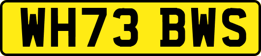 WH73BWS