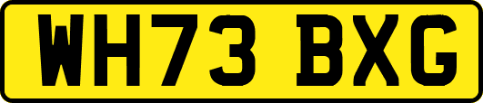 WH73BXG