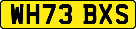 WH73BXS