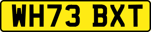 WH73BXT