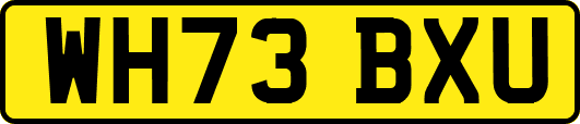 WH73BXU